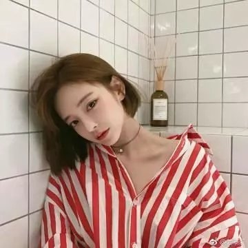 第12届中国电影华表奖